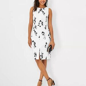 Ann Taylor summer dress (NWT) Size 6, Cotton/Linen, Black & White